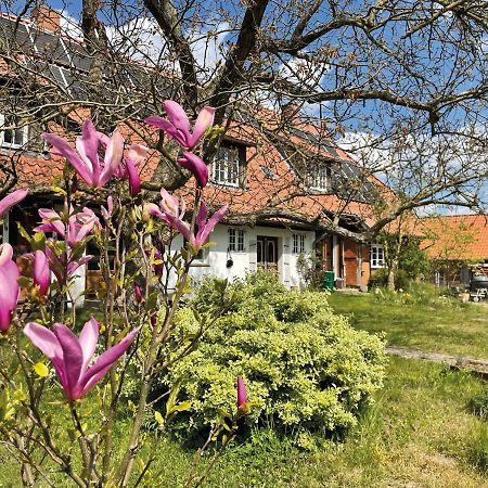 Ferienhof Rauchhaus Karft Eksteriør bilde