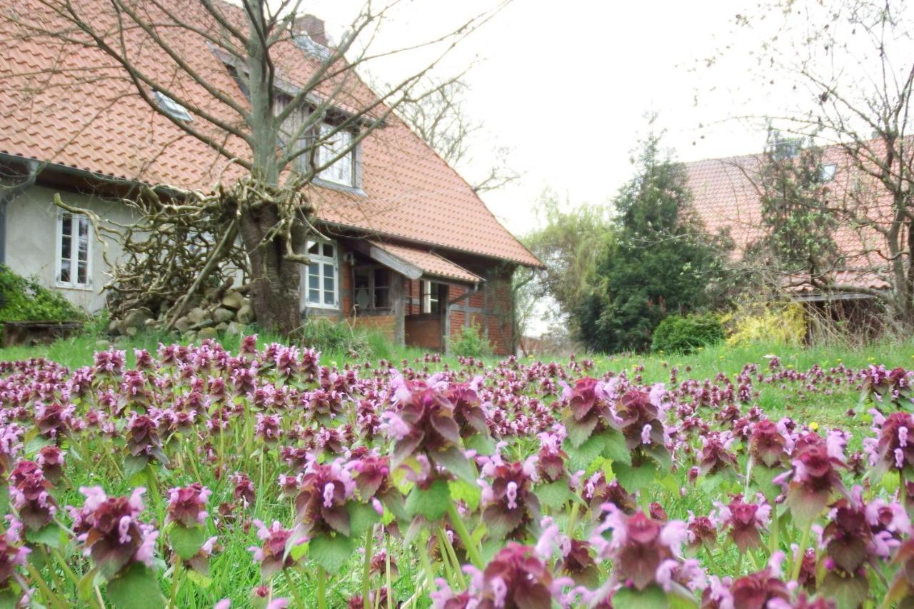 Ferienhof Rauchhaus Karft Eksteriør bilde